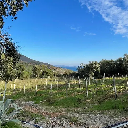 Petite Sughere Isola D'elba Aria Condizionata Wifi Rio Marina